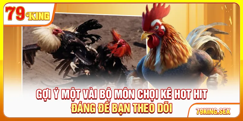 Gợi ý một vài bộ môn chọi kê hot hit đáng để bạn theo dõi